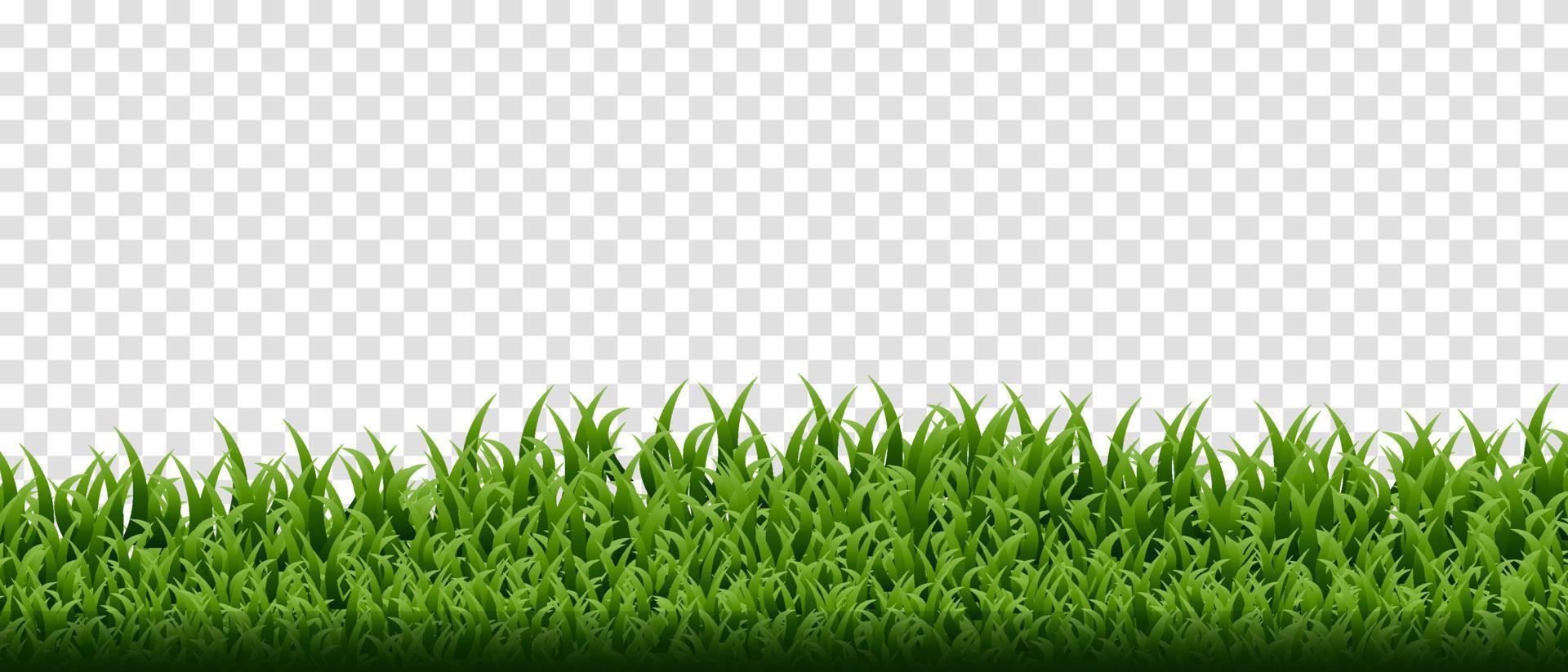 bordo di erba verde impostato su sfondo trasparente vettore