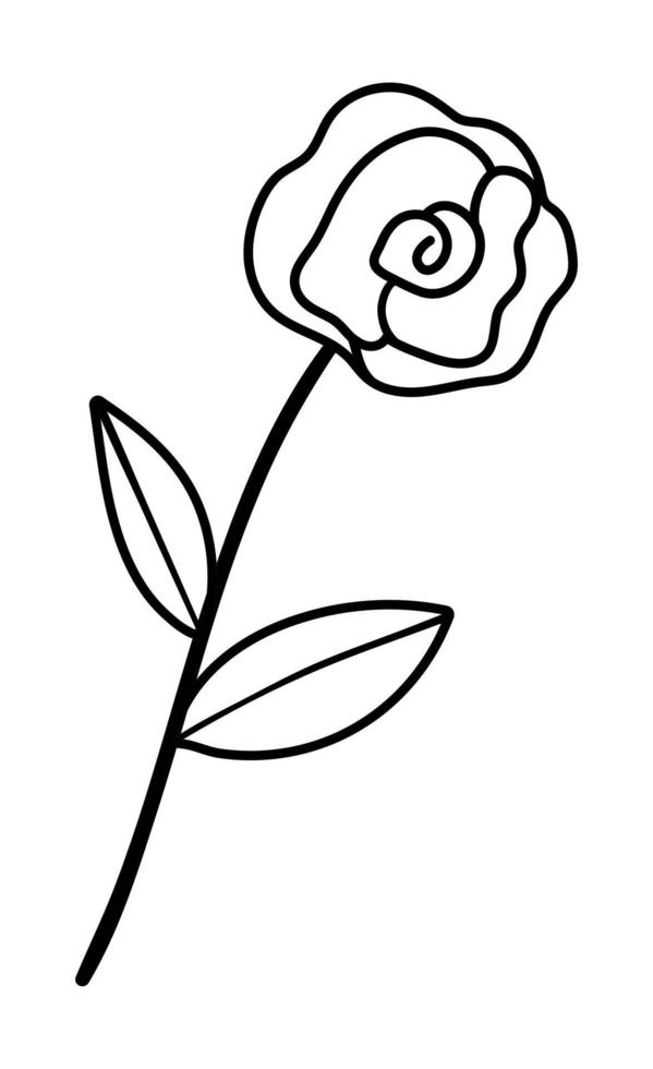 vettore rosa in bianco e nero. simbolo di contorno del giorno di san  valentino. icona della linea di piante carina. illustrazione di fiori  giocosi o pagina da colorare 5093721 Arte vettoriale a