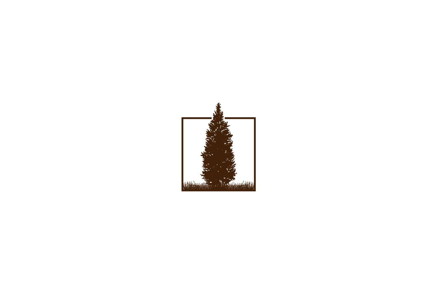 pino cedro conifera conifera sempreverde abete larice cipresso hemlock tress foresta per il campo avventura all'aria aperta logo design vettore