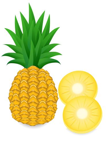 ananas vettore