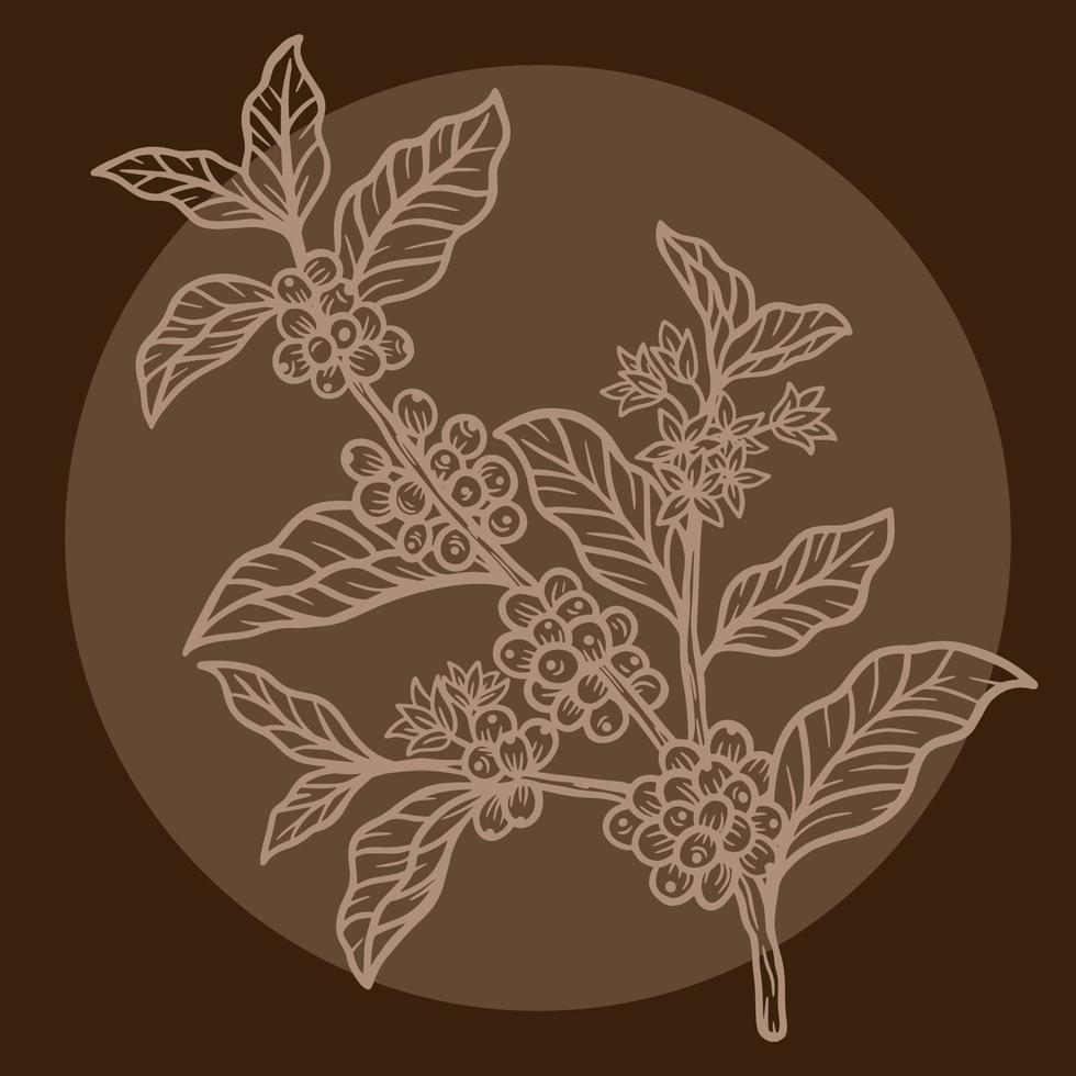 ramo di caffè con fagioli e foglie disegnati a mano per l'illustrazione dei ristoranti del bar del negozio vettore