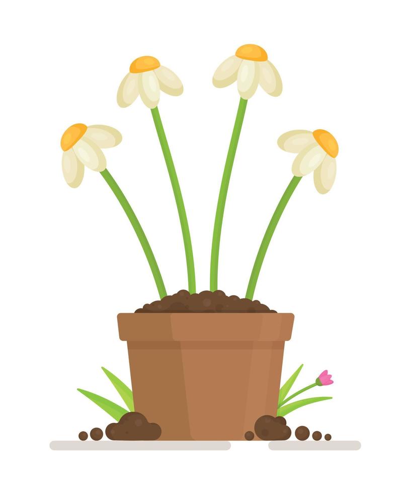 illustrazione vettoriale di un narciso in un vaso. giardinaggio nell'orto o in giardino.