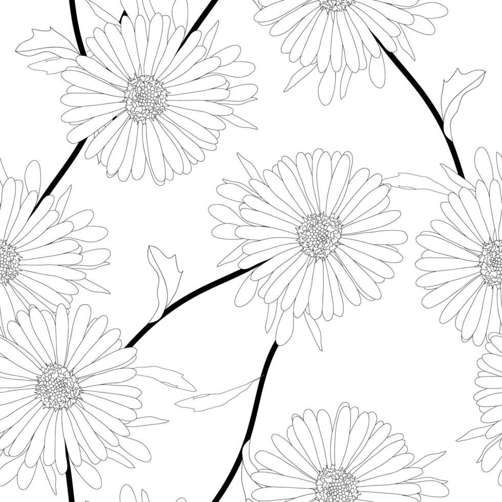 fiore di aster su sfondo bianco vettore