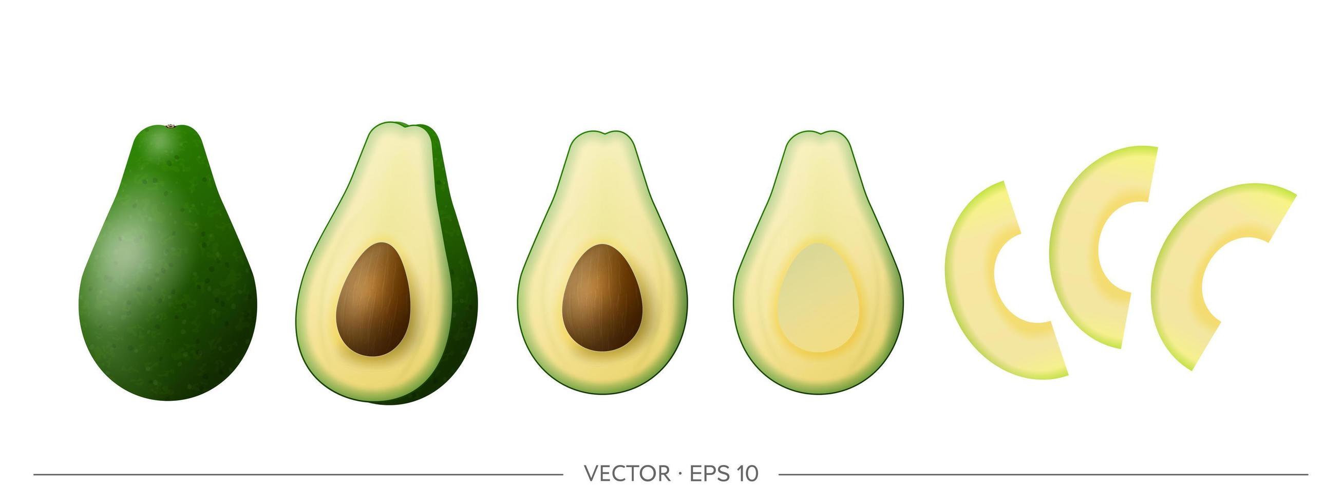 grande set vettoriale di avocado verde. avocado realistico isolato su uno sfondo bianco.