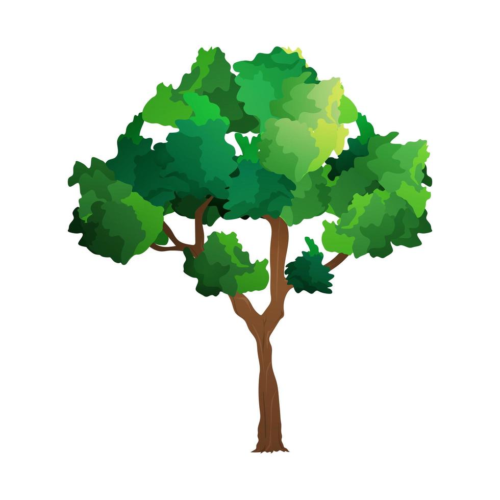 albero verde isolato su un albero bianco background.vector. elemento per la progettazione di parchi, città e piazze. dettaglio per il design del gioco. vettore