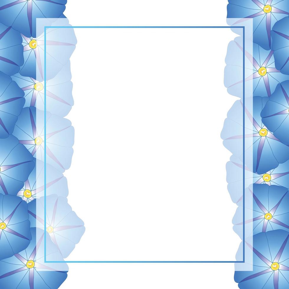 bordo blu della carta dell'insegna del fiore di gloria mattutina vettore