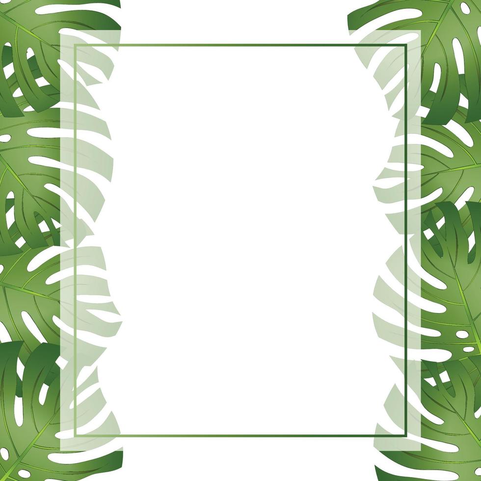 bordo della carta banner foglia di filodendro monstera vettore