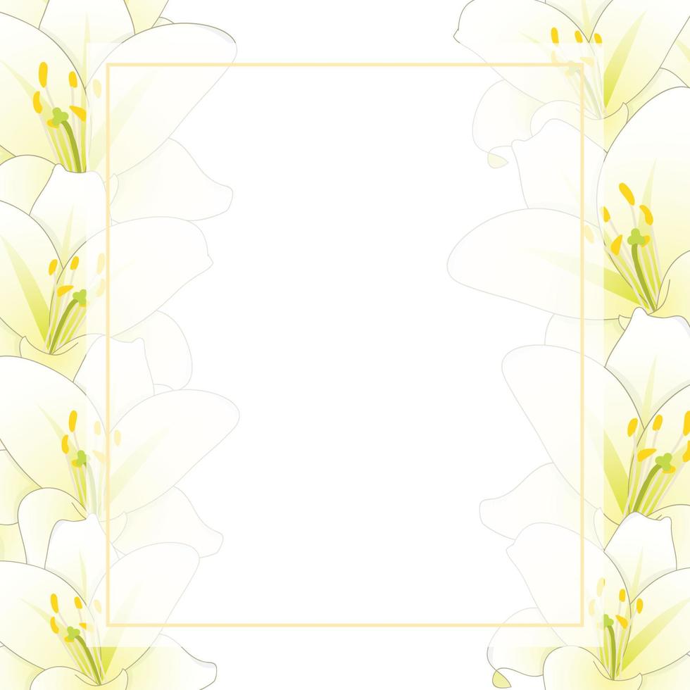 bordo della carta dell'insegna del fiore del giglio bianco vettore