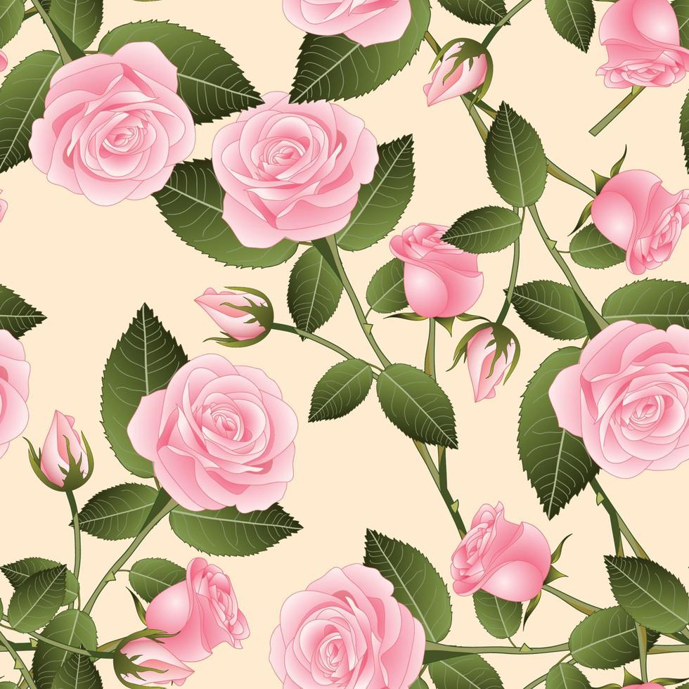 bella rosa rosa - rosa su sfondo beige avorio. giorno di San Valentino. illustrazione vettoriale