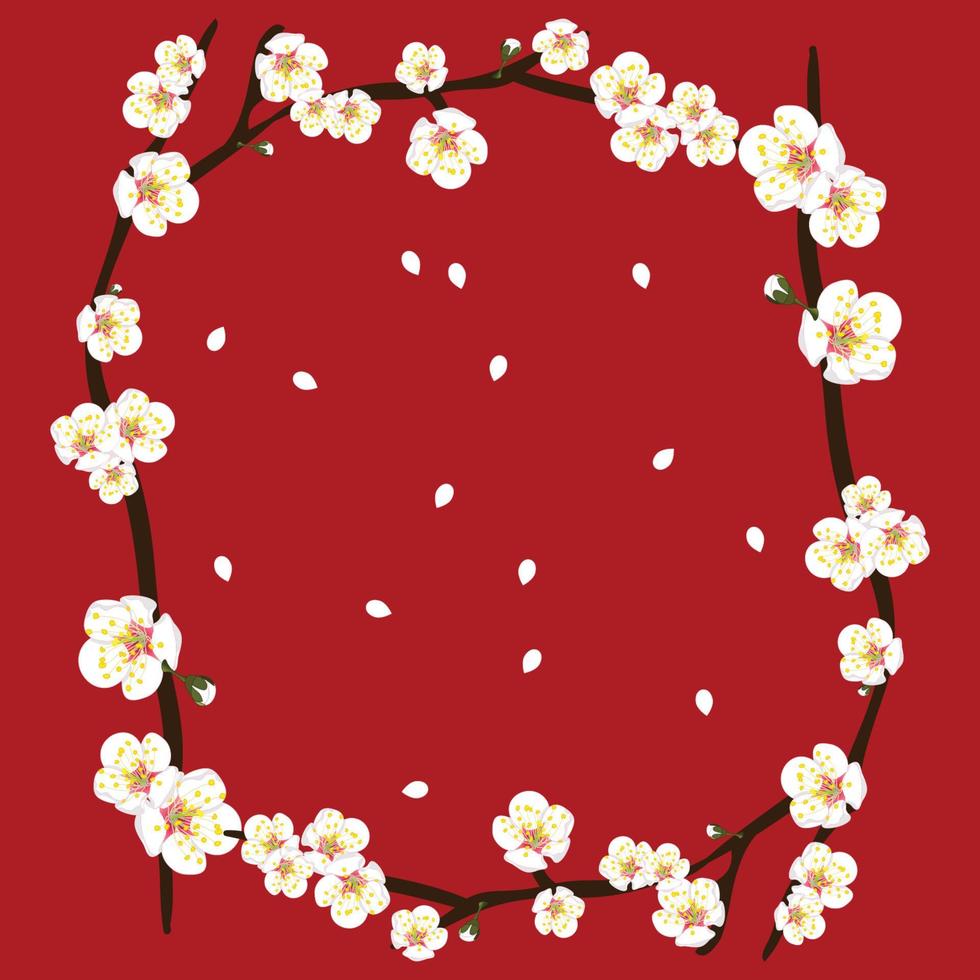 bordo bianco del fiore del fiore della prugna su background2 rosso vettore