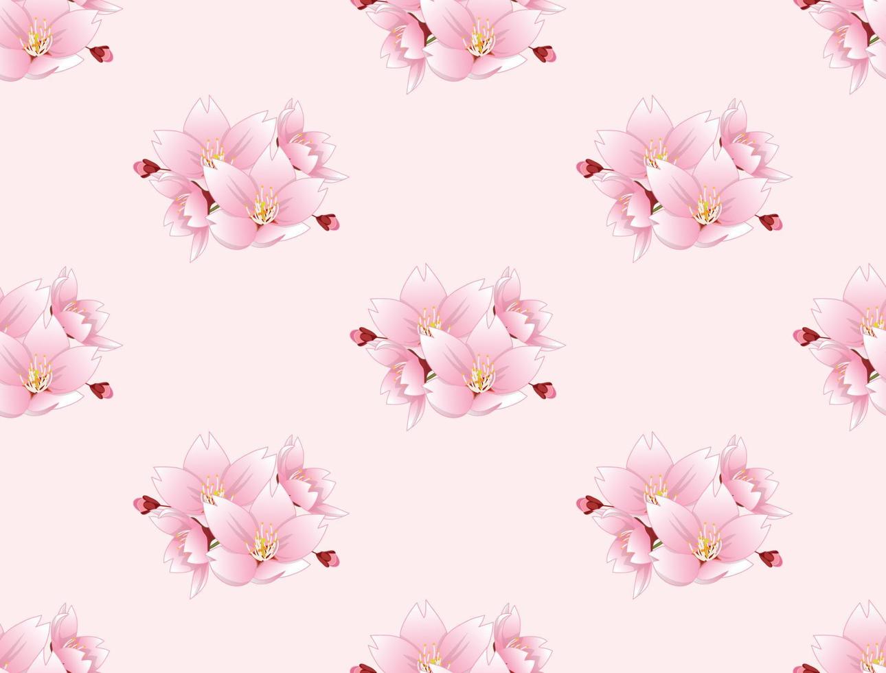 fiore di ciliegio sakura senza cuciture su sfondo rosa vettore