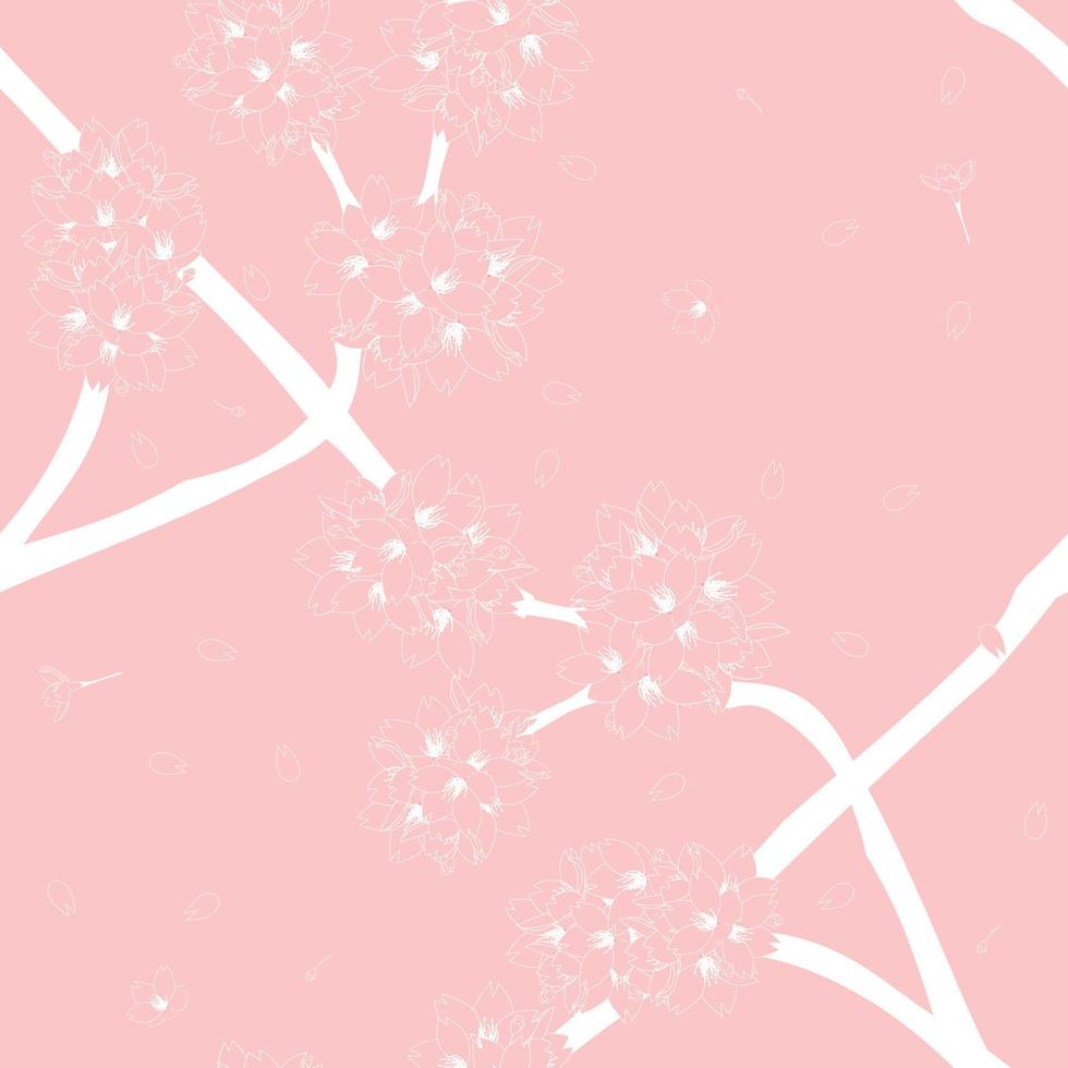 fiore di ciliegio sakura su sfondo rosa vettore