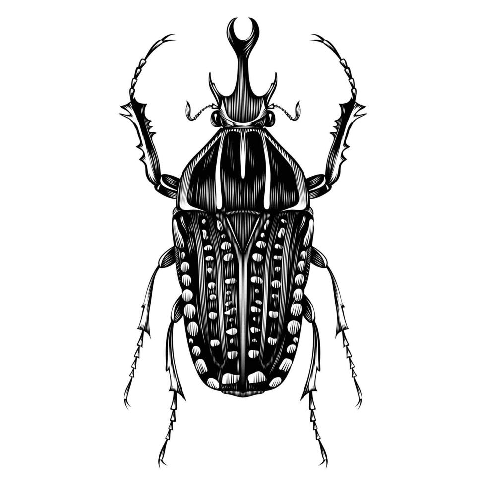 mecynorhina polifemo illustrazione vettoriale design piatto