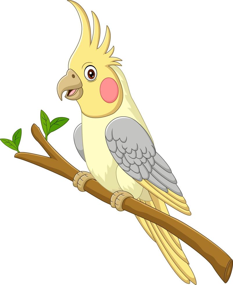 cockatiels gialli del fumetto che si siedono su un ramo di albero vettore