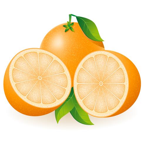 illustrazione vettoriale arancione