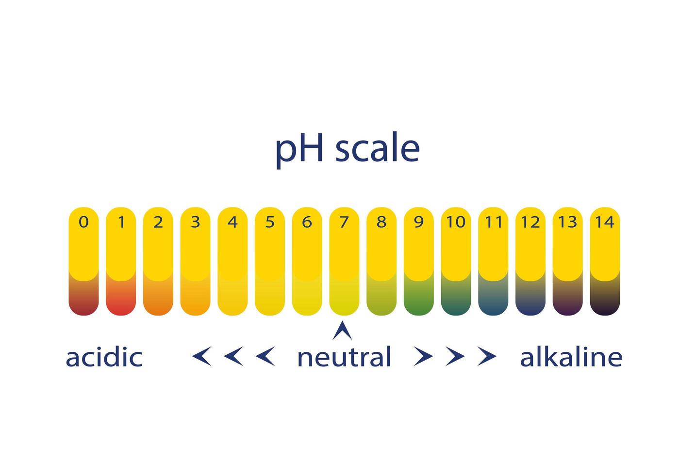 Scala Di PH Grafico a Colori Della Cartina Al Tornasole Illustrazione  Vettoriale - Illustrazione di base, anima: 80714662