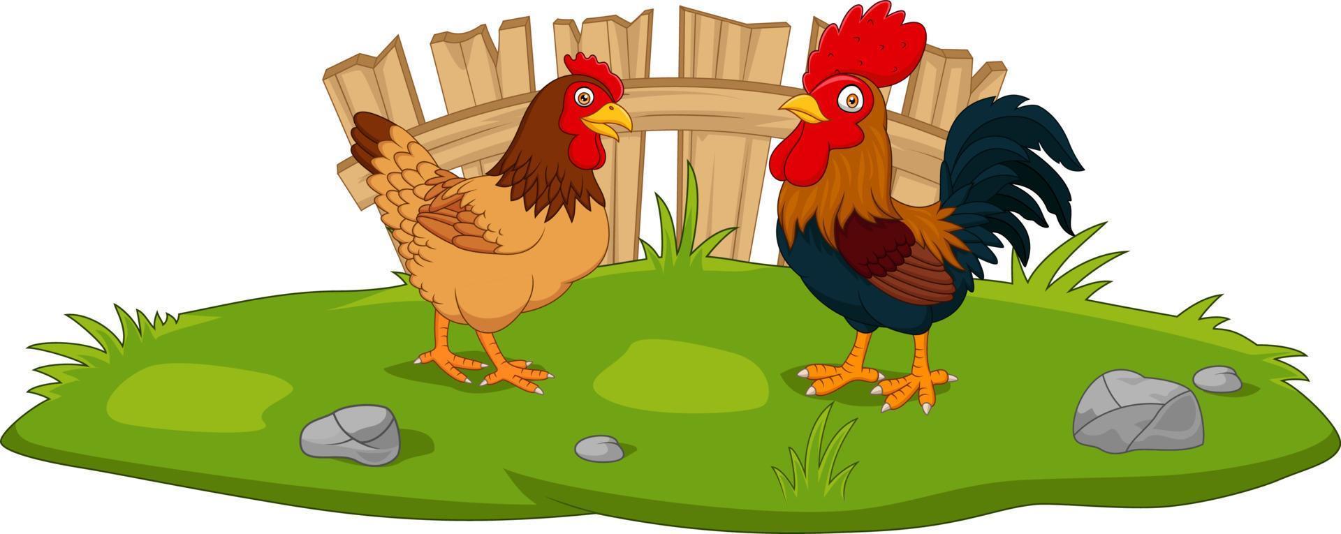 simpatico cartone animato di pollo nell'erba vettore