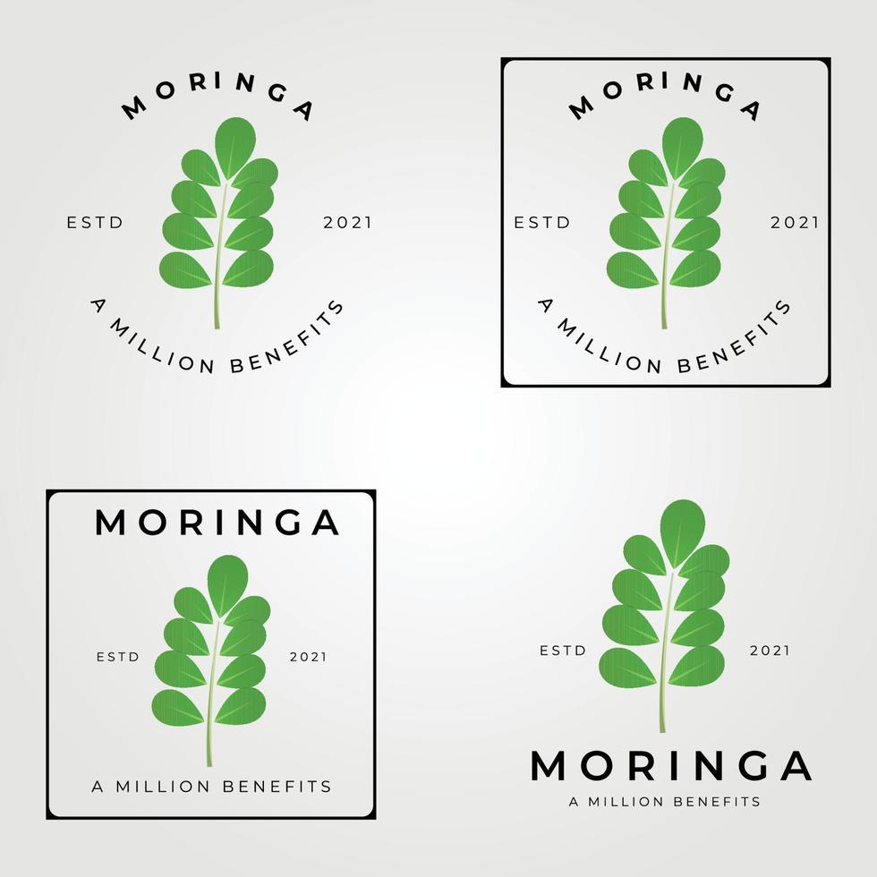 moringa oleifera set logo, disegno di illustrazione vettoriale del logo dell'albero miracoloso, medicina naturale, un milione di vantaggi