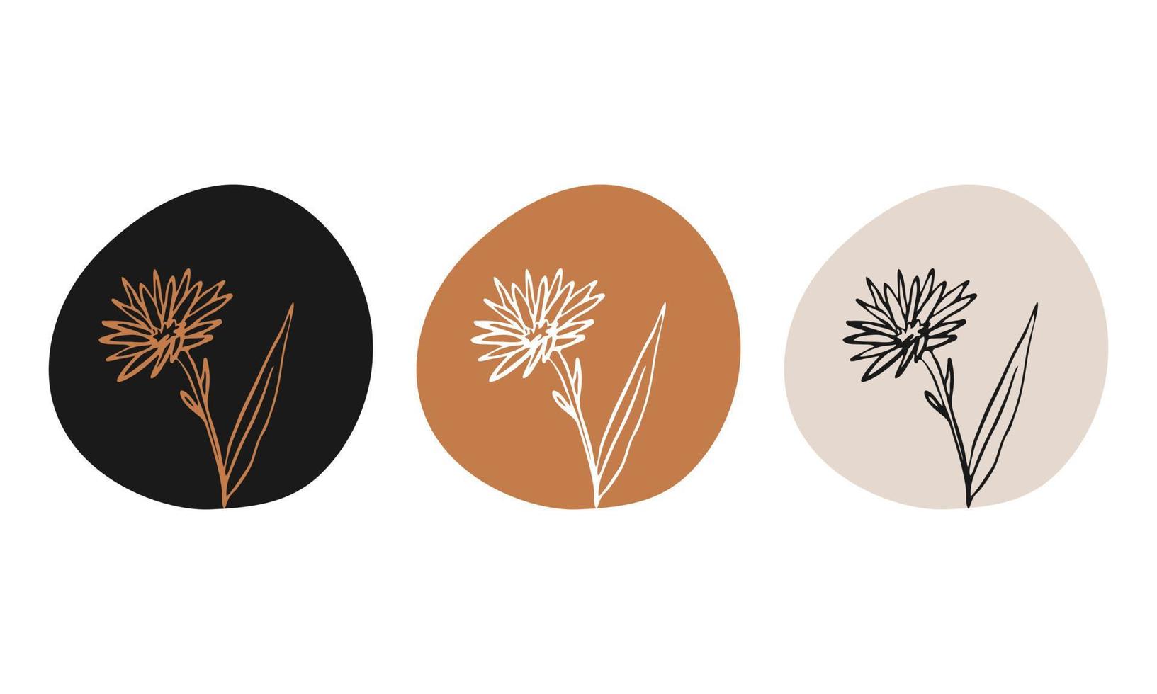 illustrazione botanica vettore logo design collezione set icone logo di lusso evidenzia decorazione floreale doodle a base di erbe elementi disegnati a mano etichetta del marchio aziendale