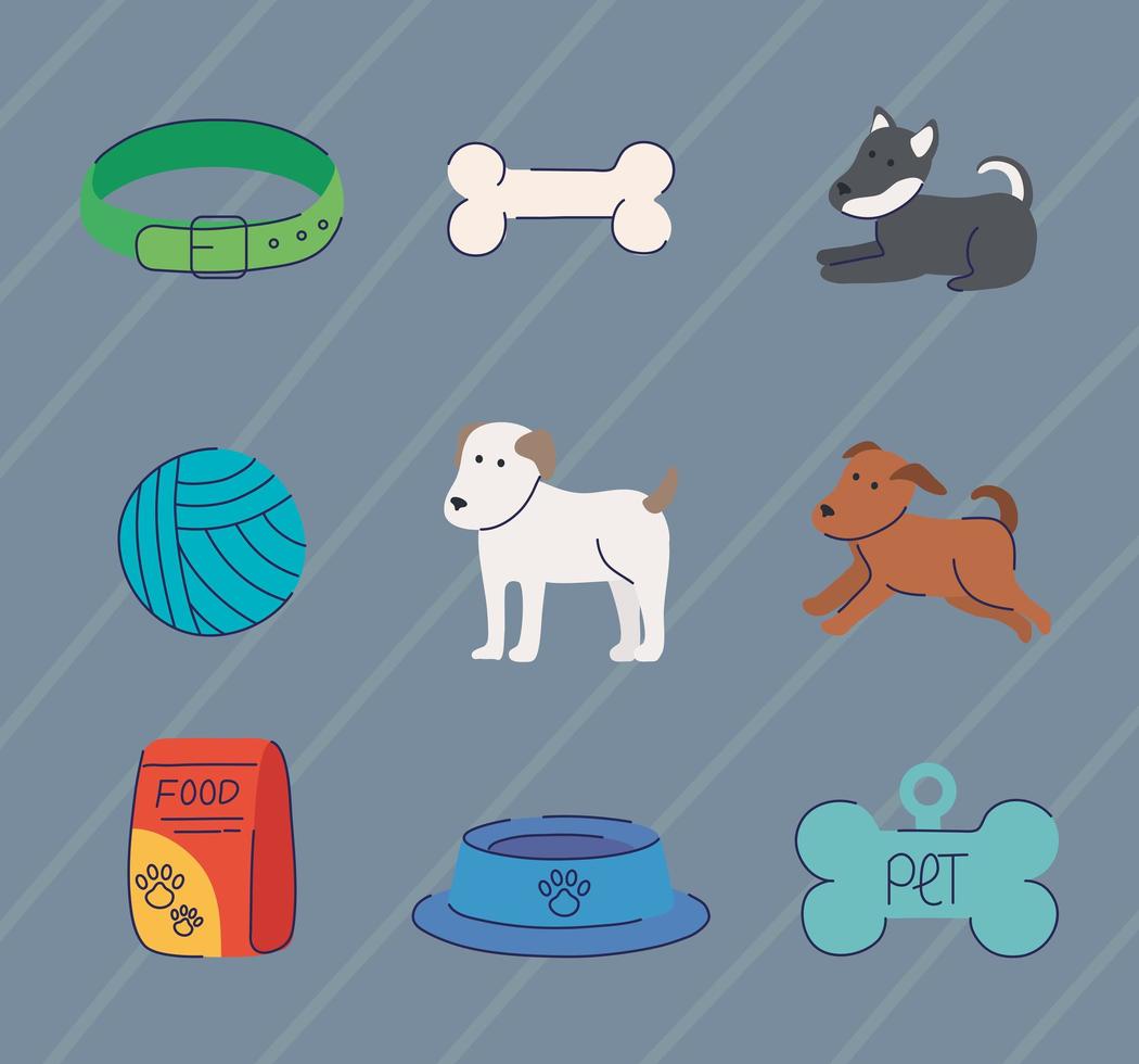 cani e icone del negozio di animali vettore