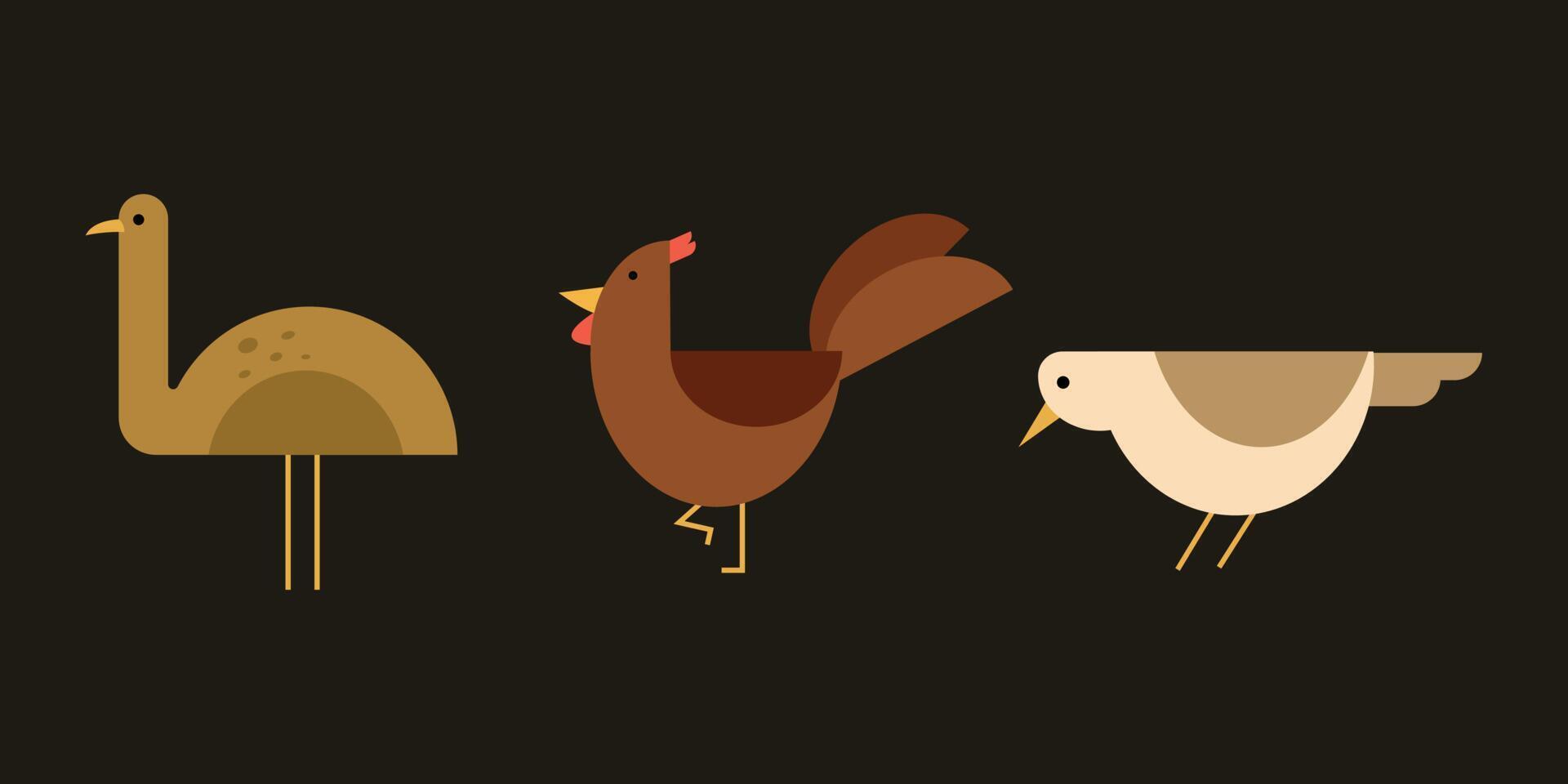 illustrazioni di design piatto di struzzo, pollo e passero. vettore