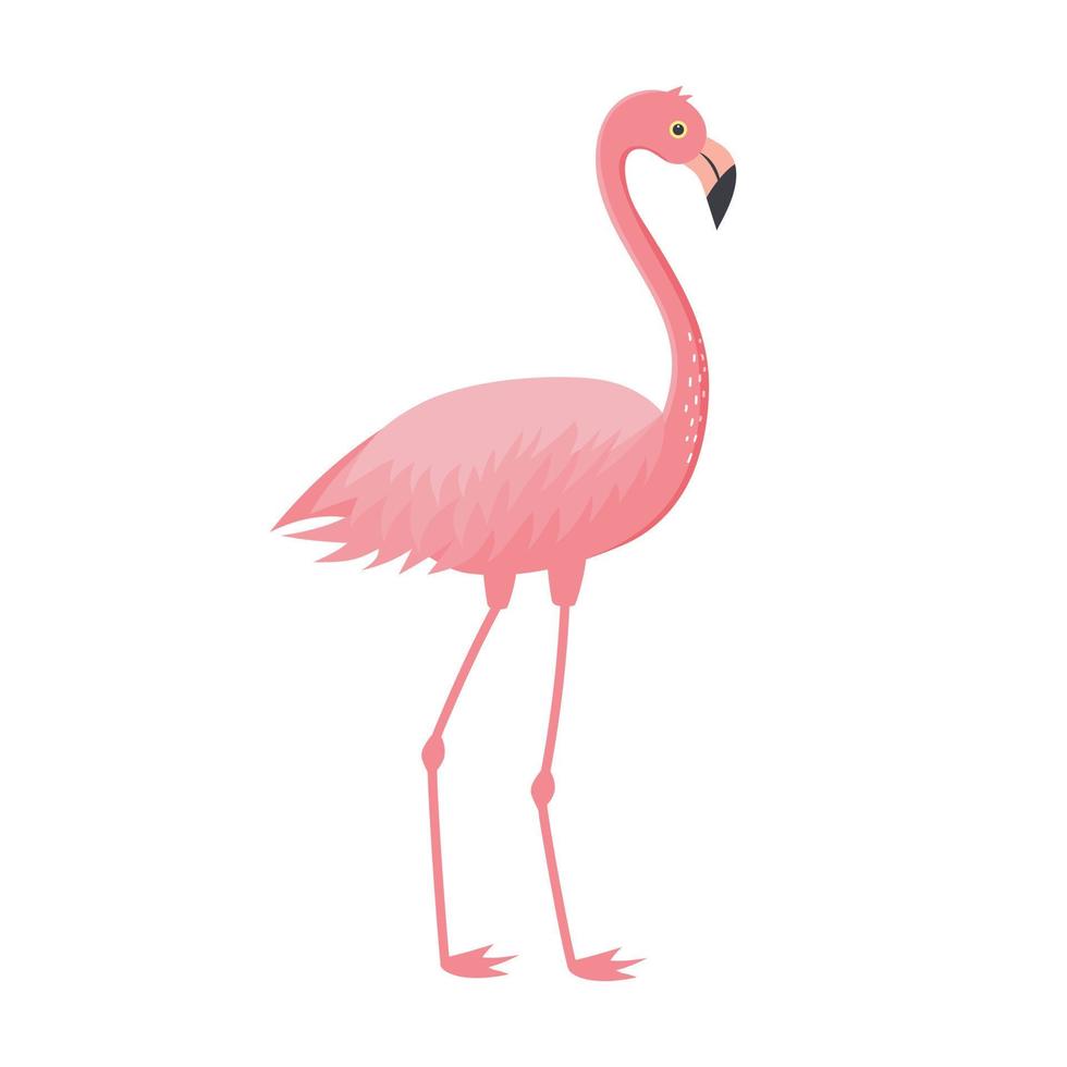fenicottero rosa isolato su sfondo bianco. personaggio di uccelli tropicali esotici. vettore