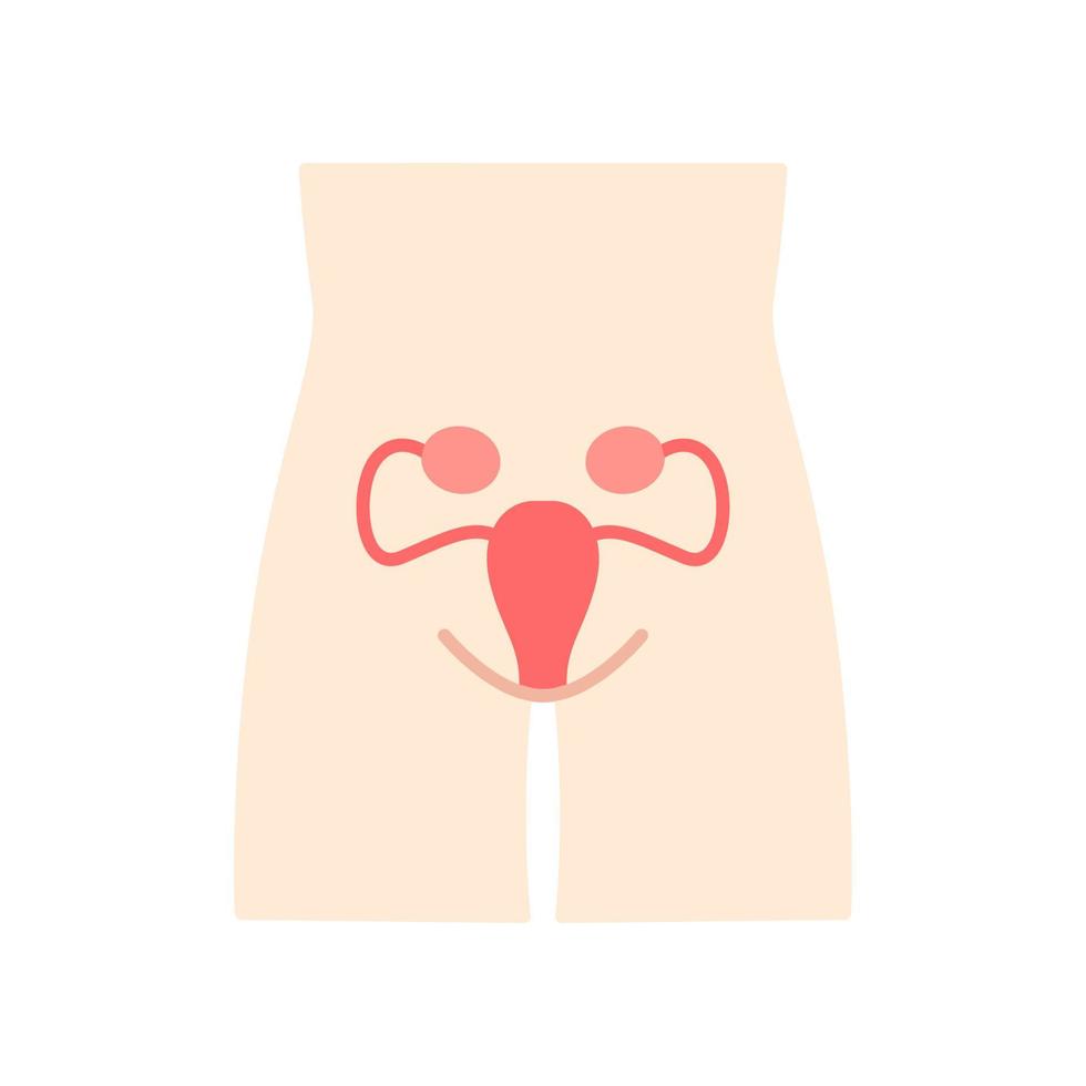 donne sane sistema riproduttivo design piatto lunga ombra colore icona. organo umano in buona salute. fertilità. parte interna del corpo in buone condizioni. salute sana delle donne. illustrazione della siluetta di vettore