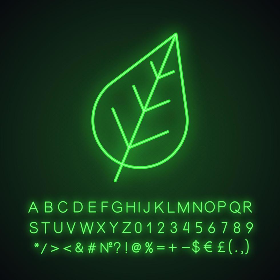 icona della luce al neon della foglia dell'albero. segno luminoso con alfabeto, numeri e simboli. illustrazione vettoriale isolato