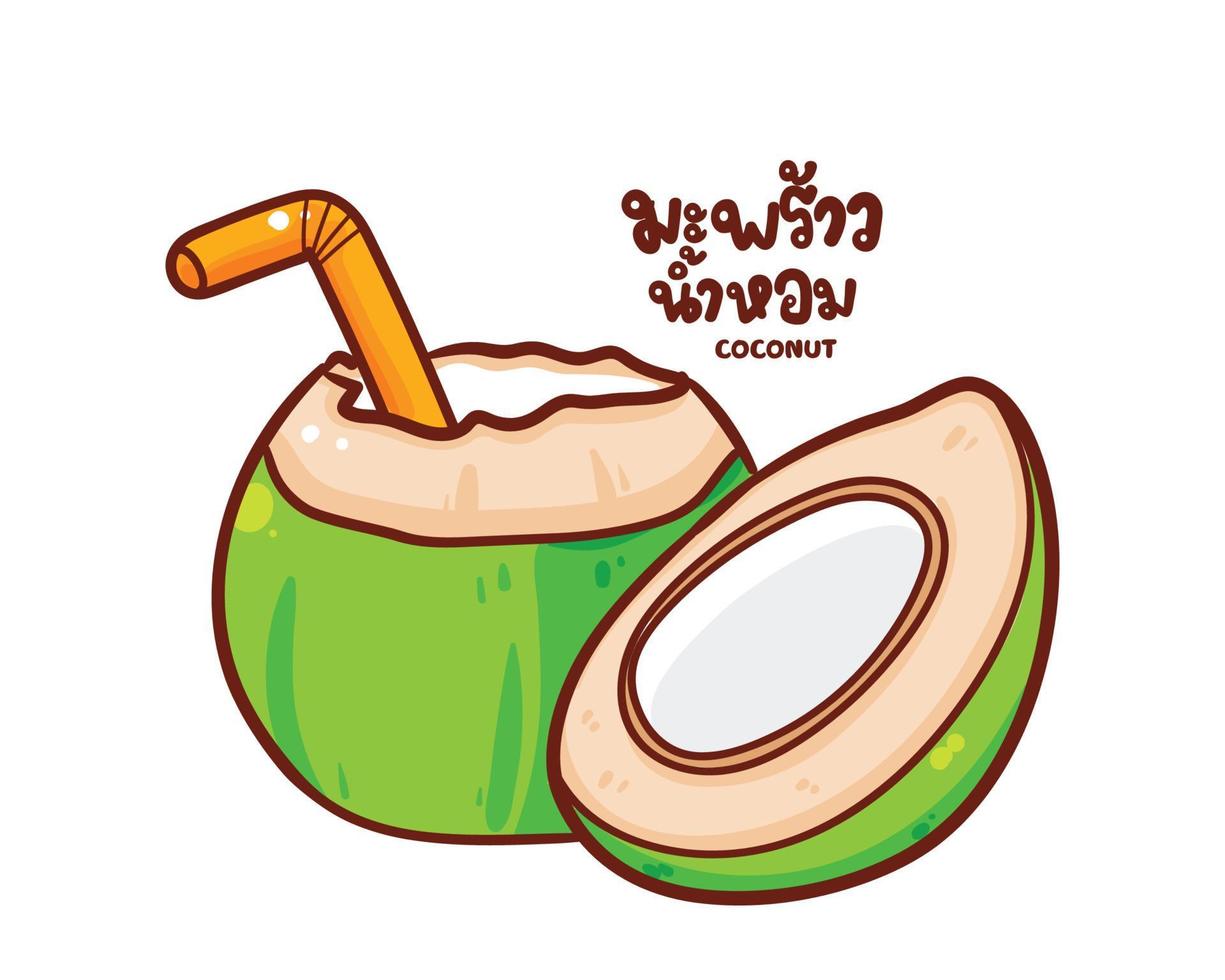 illustrazione disegnata a mano di arte del fumetto di logo della frutta organica del succo di cocco vettore