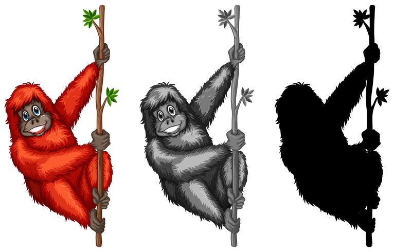 Set di caratteri di orangutan vettore