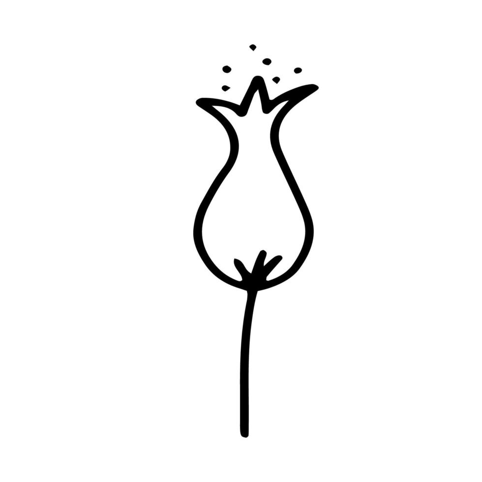 linea di disegno del profilo della campana del fiore. immagine in bianco e nero.piante e fiori.disegno stilizzato di fiori.vettore vettore