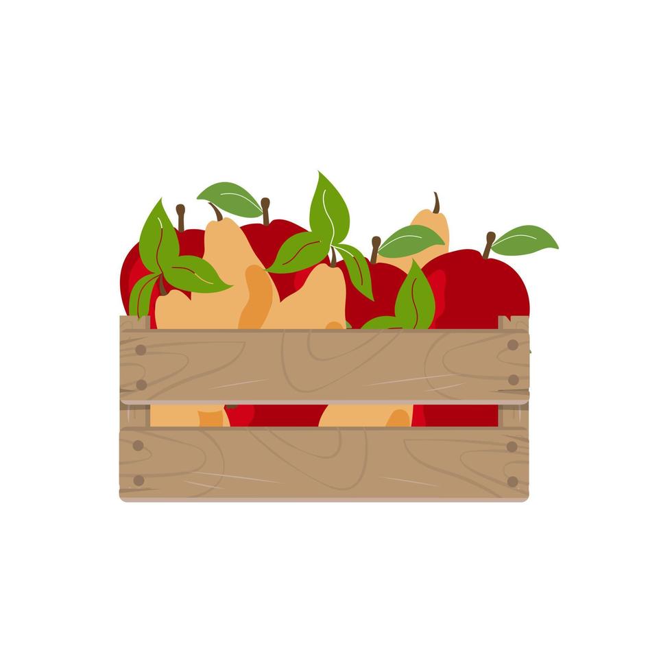 scatola di legno con mela rossa e pera, custodia con frutti isolati su sfondo bianco. illustrazione vettoriale. vettore