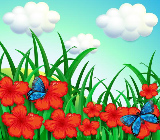 Un giardino con fiori rossi e farfalle blu vettore
