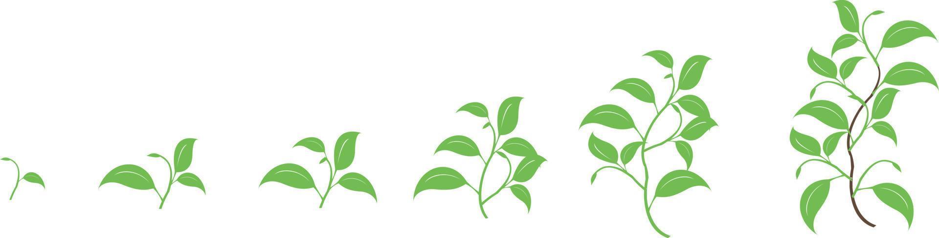 elementi di design vettoriale set di raccolta ramo verde con foglie. illustrazione elegante di bellezza decorativa per foglia di design in stile acquerello.
