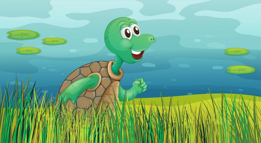 Una tartaruga che corre lungo lo stagno vettore