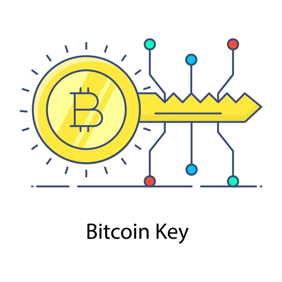 icona del profilo piatto concetto chiave bitcoin, chiave digitale vettore