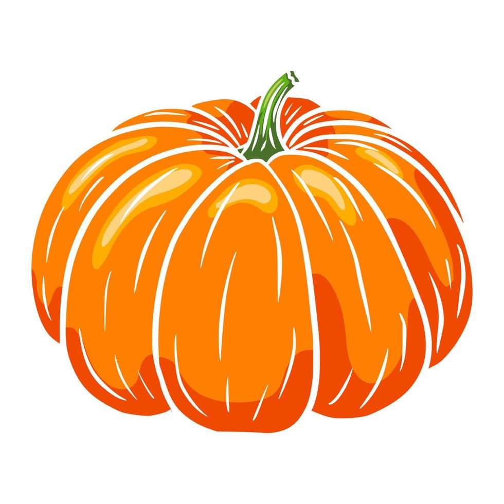 zucca da favola. icona di zucca autunnale. schizzo di zucca matura. stile cartone animato. elemento per il design decorativo autunnale, invito di halloween, raccolto, adesivo, stampa, logo, menu, ricetta vettore