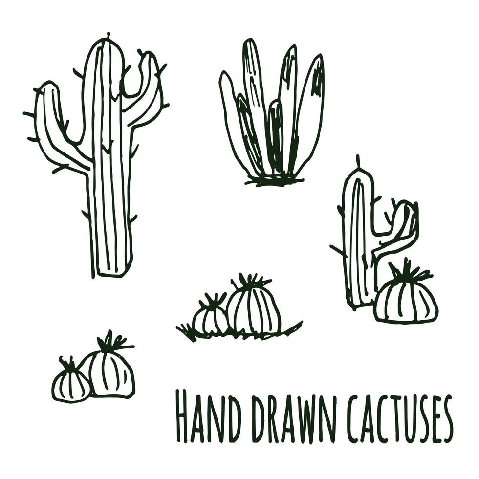 insieme disegnato a mano di vettore di cactus