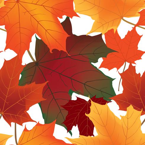 Foglie d&#39;acero autunno seamless pattern Sfondo floreale vettore