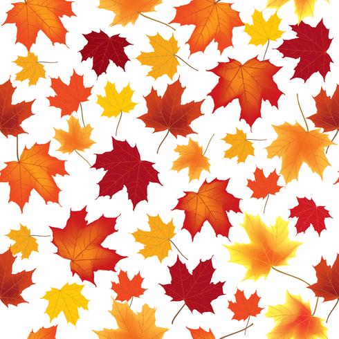 Foglie d&#39;acero autunno seamless pattern Sfondo floreale vettore