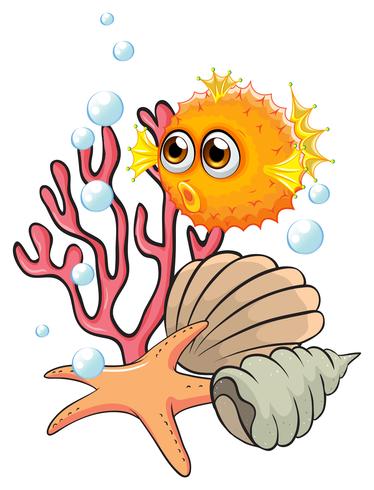 Un pesce palla arancione vicino ai seashells vettore