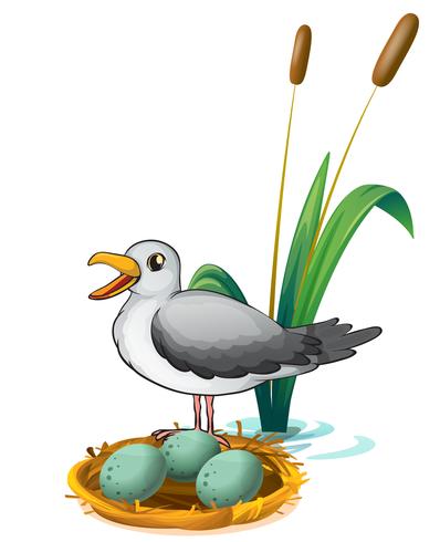 Un uccello accanto al nido con le uova vettore