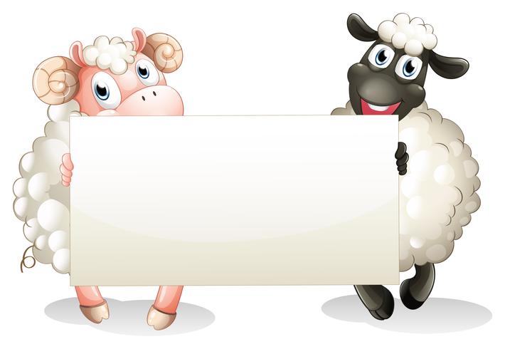 Due pecore in possesso di un banner vuoto vettore