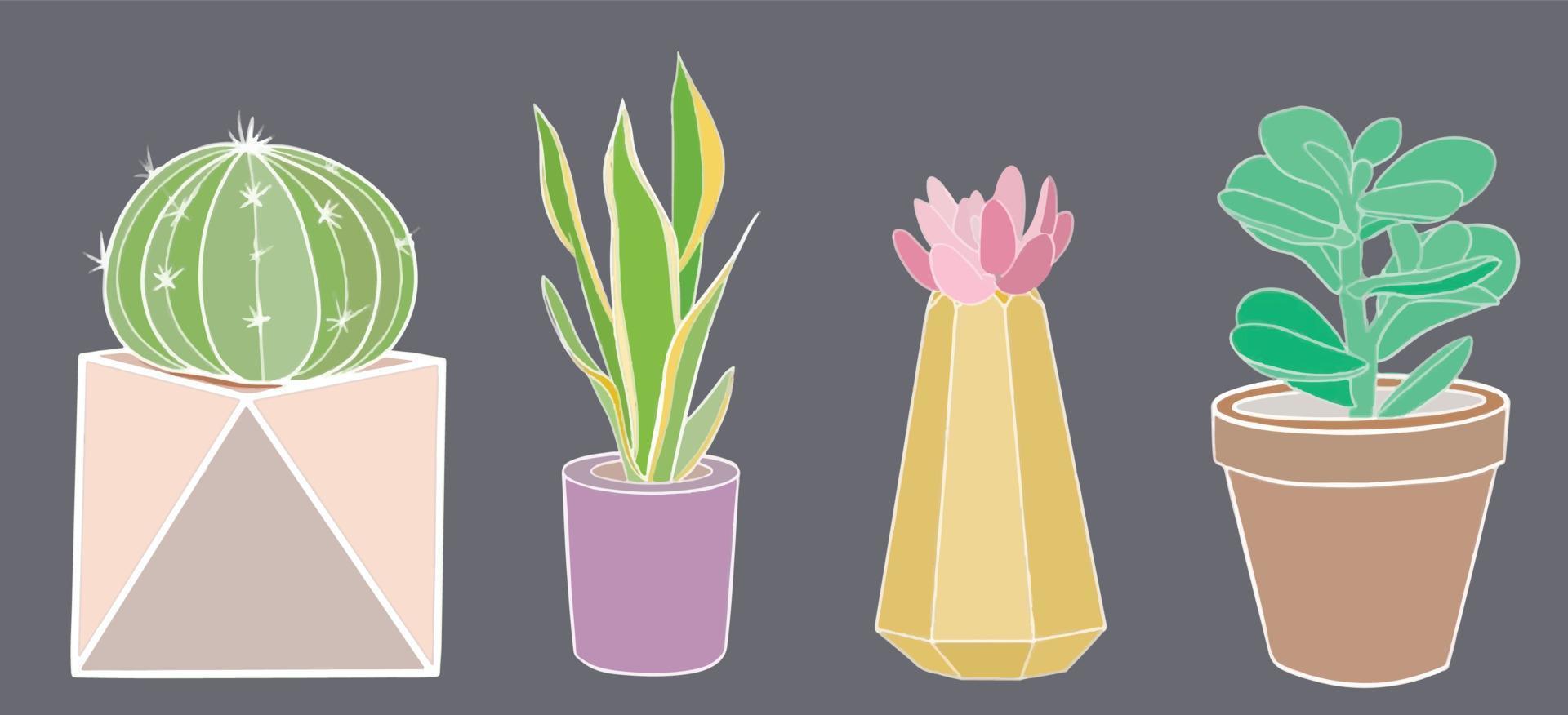 cactus pastello e piante grasse in vaso vettore