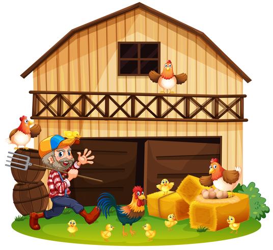 Agricoltore e polli nella fattoria vettore