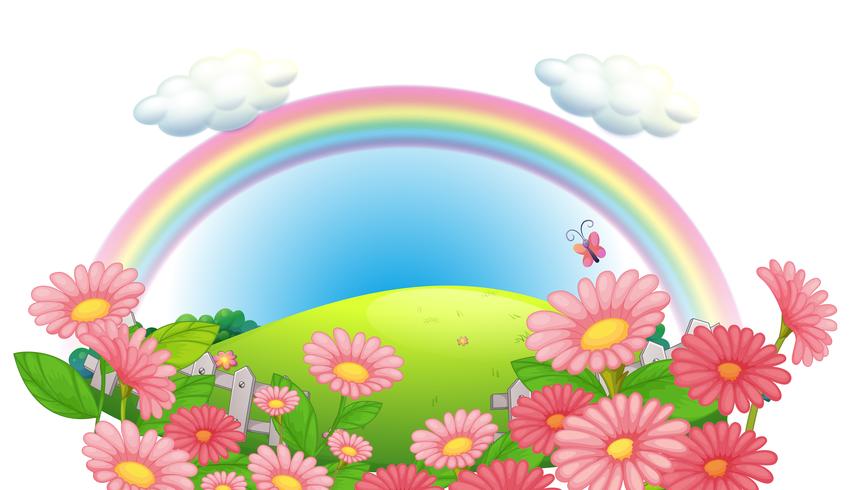 Un arcobaleno e un giardino di fiori sulle colline vettore