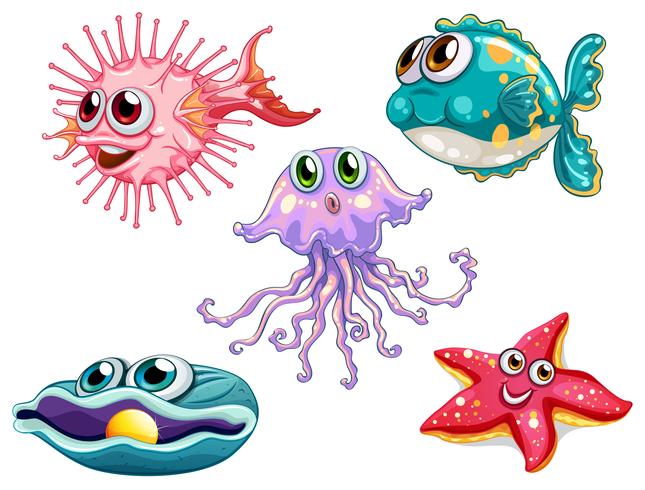 Cinque creature marine vettore
