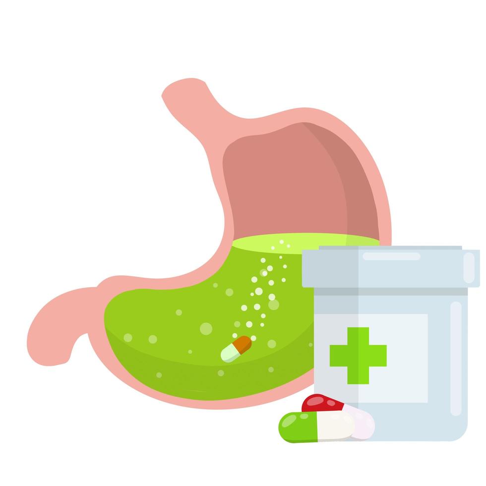 stomaco e pillola. farmaco dissolvente. malattia dell'organo interno umano. illustrazione piatta del fumetto. prendendo la medicina vettore