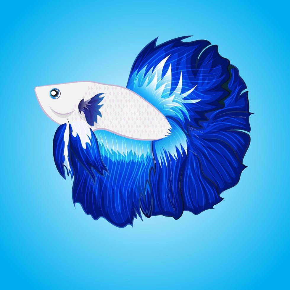 illustrazione del logo della mascotte del pesce betta per la tua merce o sfondo isolato aziendale vettore