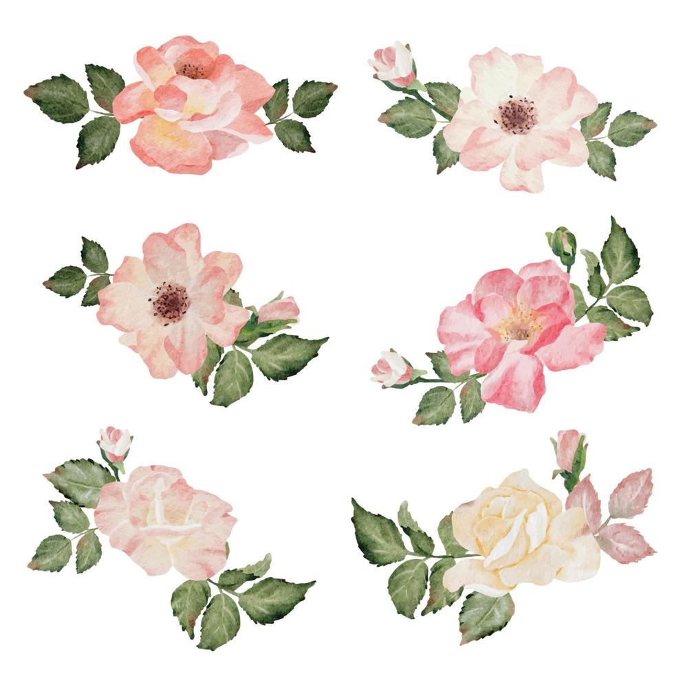 raccolta di elementi del bouquet di fiori del ramo di rosa in fiore dell'acquerello vettore